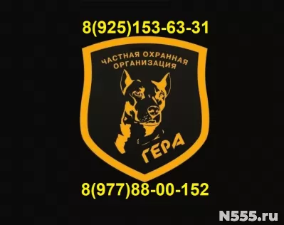 Услуги физической охраны объектов