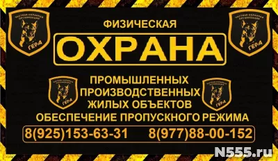 Услуги физической охраны объектов