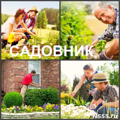 Садовник, услуги профессионального садовника