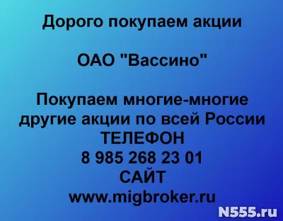 Покупаем акции «Вассино»