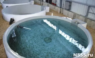 Поменяю емкости из полимер-композитов на СпецТехнику фото 1