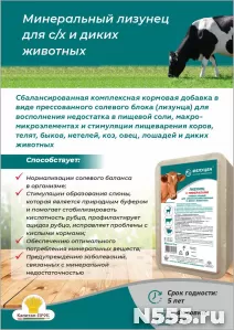 Универсальный лизунец 3кг.