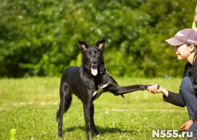 красотка Рада ищет дом