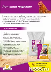 Ракушка морская кальциевая подкормка для кур, голубей и деко