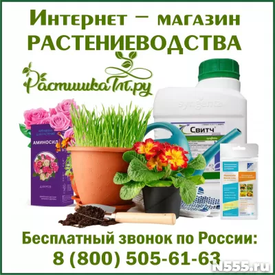 «Растишка ТЛТ» - товары для растениеводства