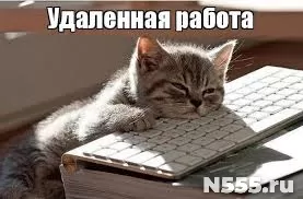 Работа без опыта - На дому